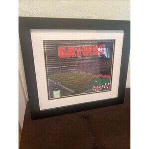 #2202**”14X16” Gators Framed Stadium Print - Red & Green